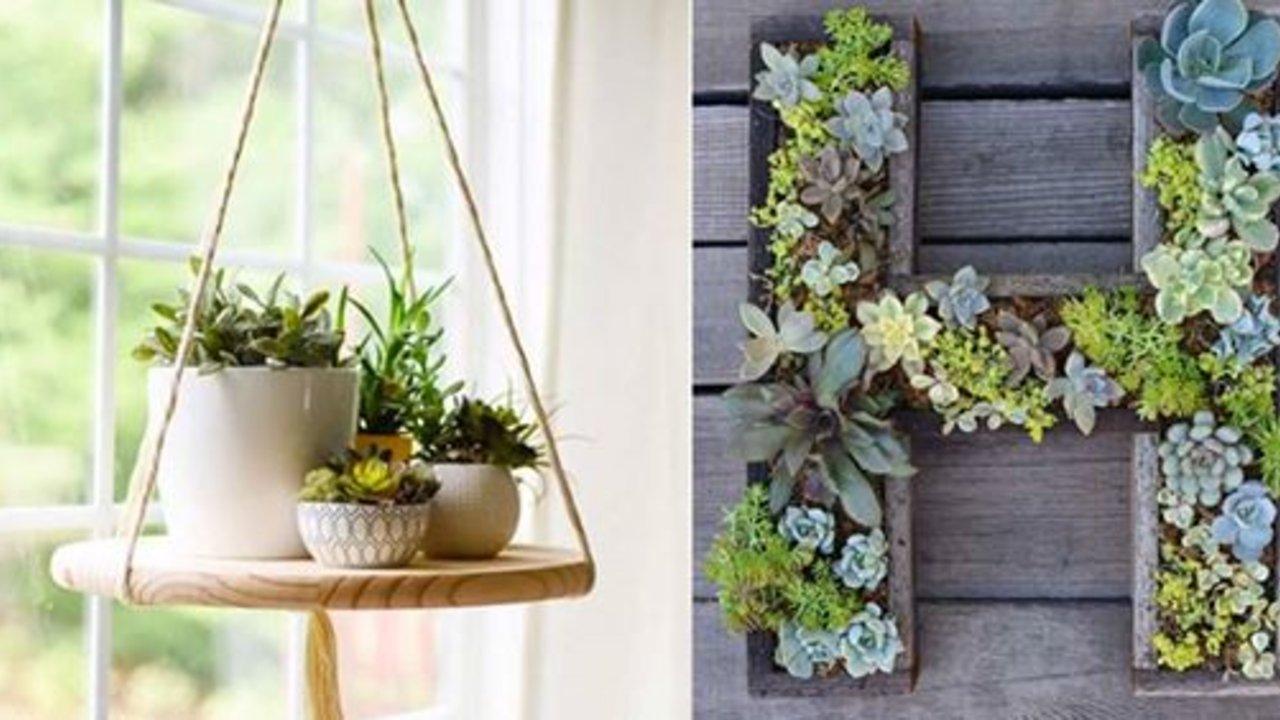 32 Creative DIY Succulent Crafts and DIYs