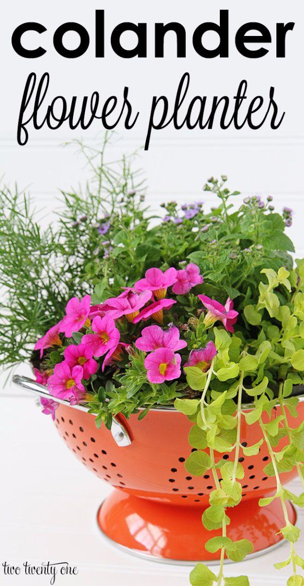 Colander Flower Planter, a backyard container upgrade, friendly for a beginner working with basic tools