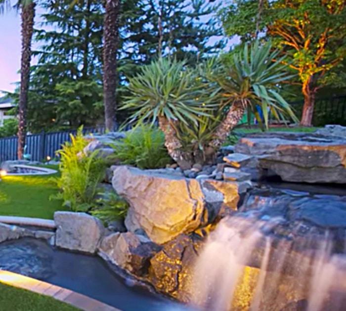 Make a privacy landscape with plants and a water feature