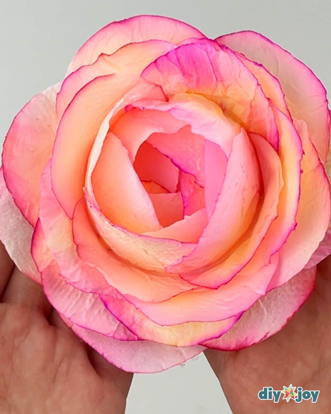 Finished toilet paper flowers arranged in a group, a cheap handmade paper craft rose made from tissue paper