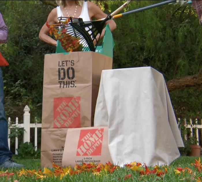 How to Take Care of Your Lawn in Fall