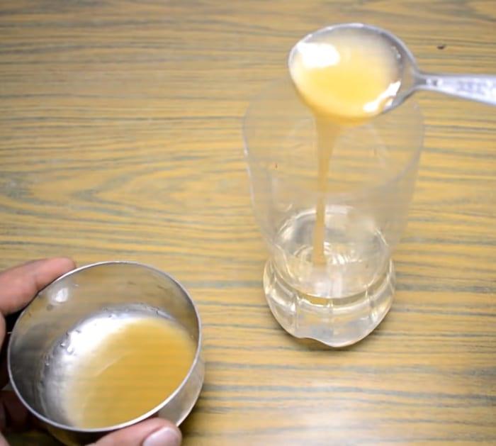 How to Make an Effective Hornet and Fly Trap Tips