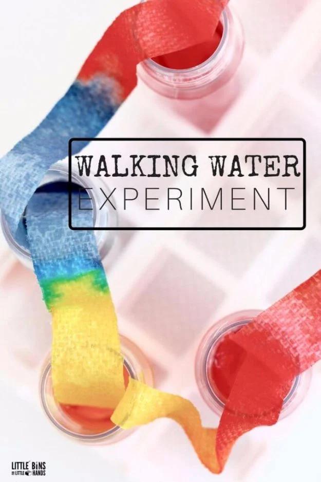 Walking water experiment, red yellow and blue water climbing folded paper towel strips arched between small clear containers