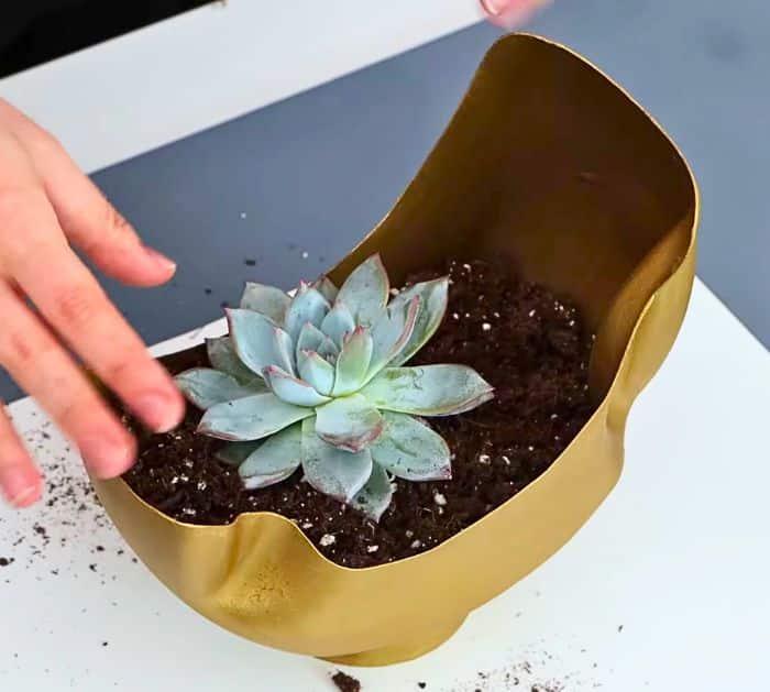 Easy Repurposed DIY Project Ideas