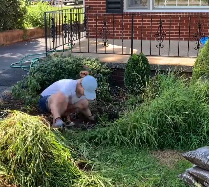 Easiest Way to Get Rid of Weeds (Cheap and Fast) Tips
