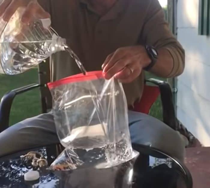 What You Need to Keep Flies Out of Your Home