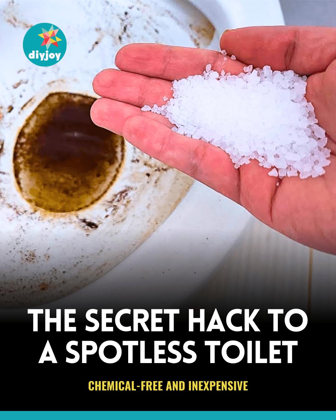 Learn The Secret Hack To A Spotless Toilet