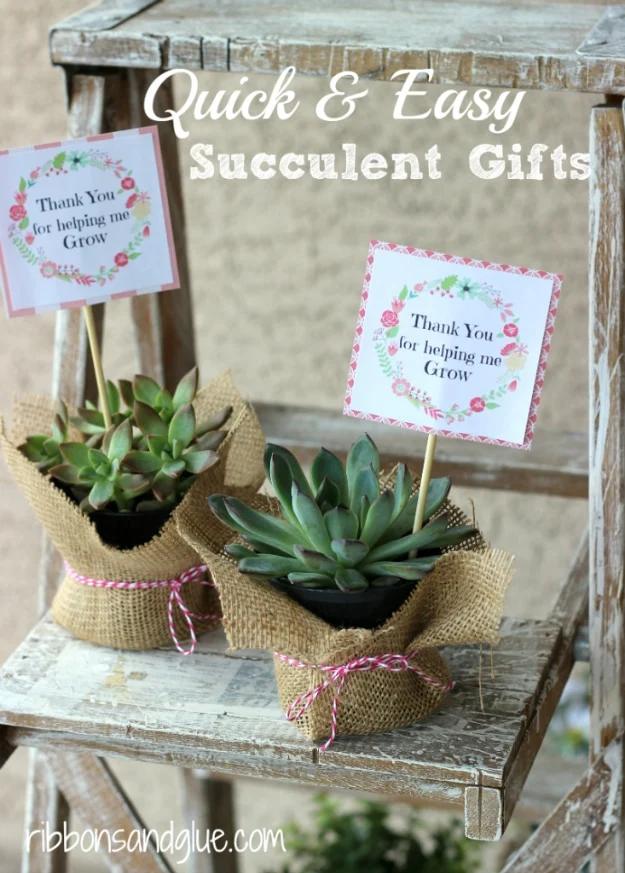 Quick Last Minute DIY Gifts You Can Make - Quick And Easy Succulent Gifts - Easy and Quick Last Minute DIY Gift Ideas for Mom, Dad, Him or Her, Freinds, Teens, Kids, Girls and Boys