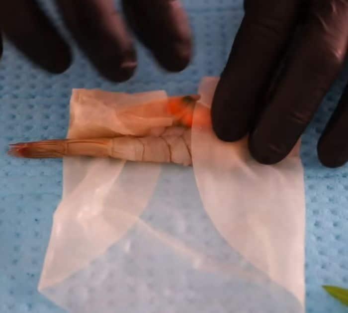Fried Shrimp Spring Rolls Recipe Instructions
