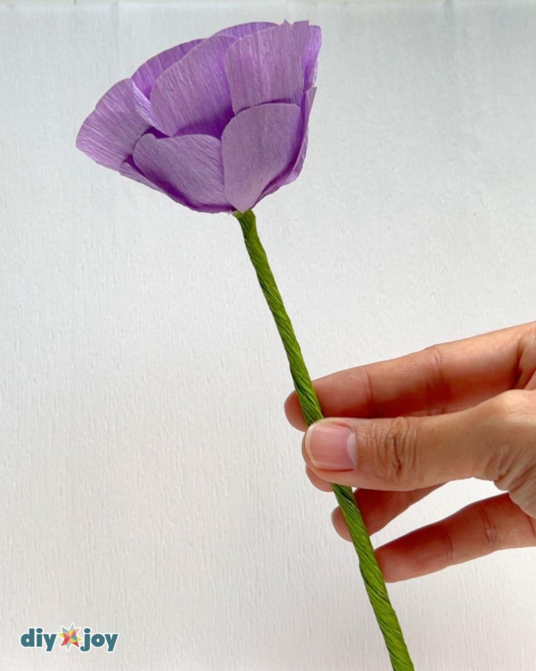 Easy Paper Ranunculus — covering the stem