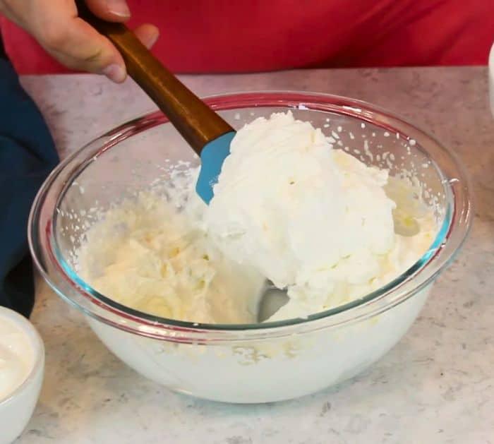 Easy Classic Ambrosia Salad Ingredients