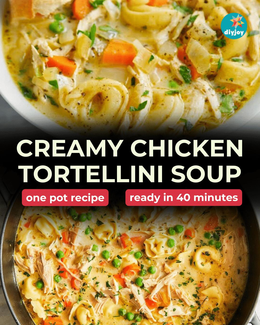 Creamy Chicken Tortellini Soup