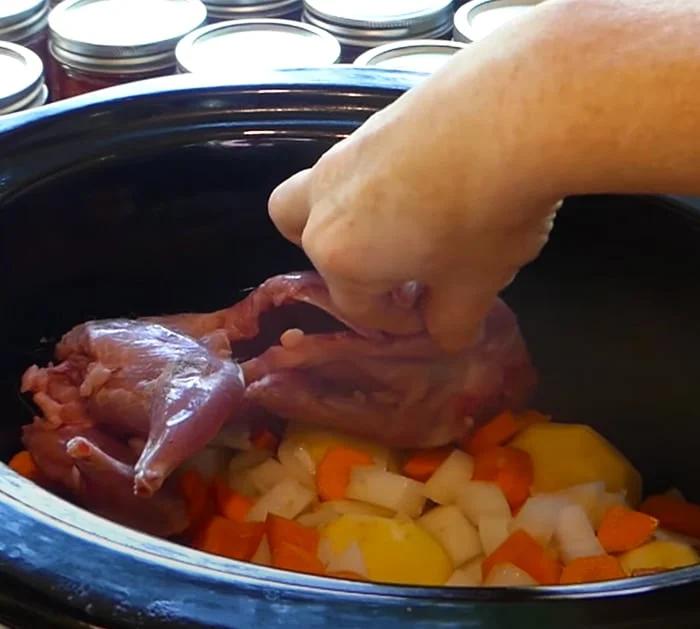 Crockpot Recipes - How To Make Squirrel Stew - Hunting Season - Squirrel Recipes