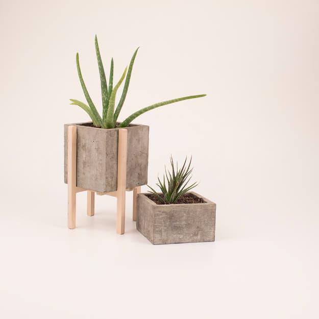 Modern Concrete Wood Planters, simple to scale up or down as the layout allows and a result sturdy enough for daily use
