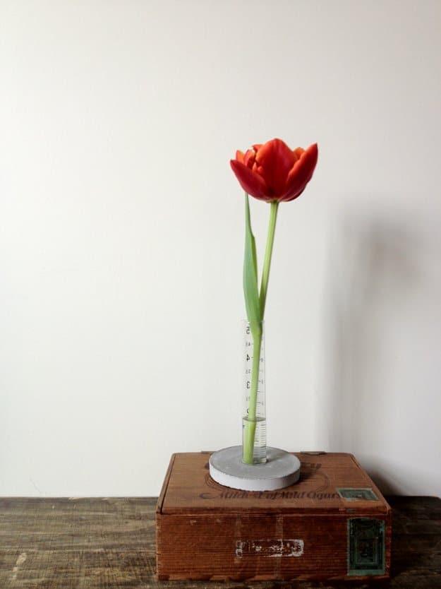 Concrete and cylinder vase, a glass test tube in a small cast cement base holding a single red tulip on a wooden box