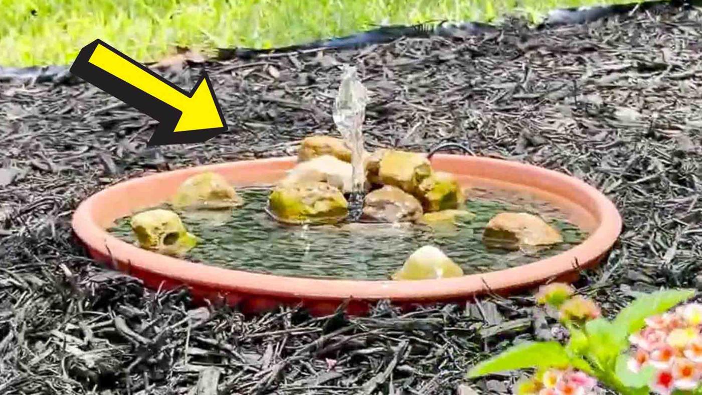 DIY Mini Solar-Powered Garden Fountain
