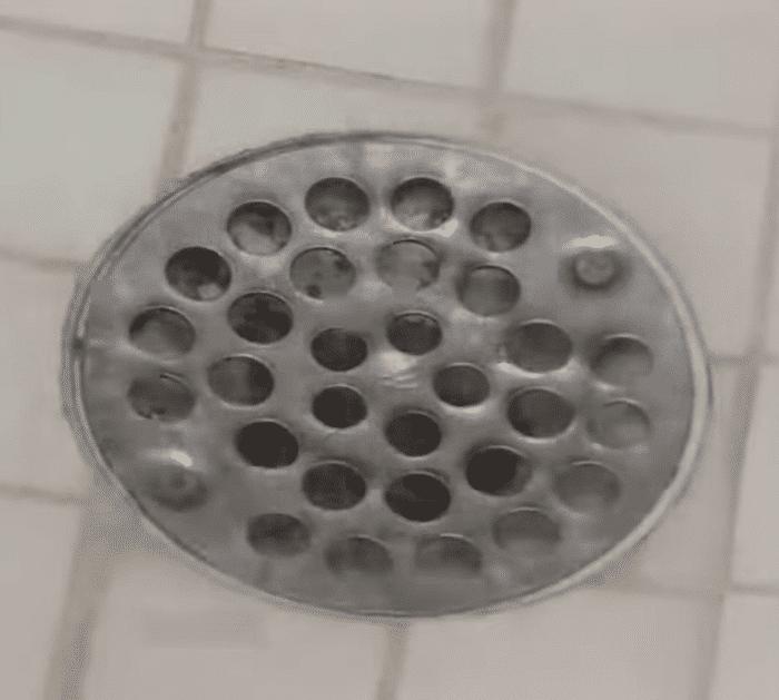 How to Get Rid of Cockroaches in the Drain