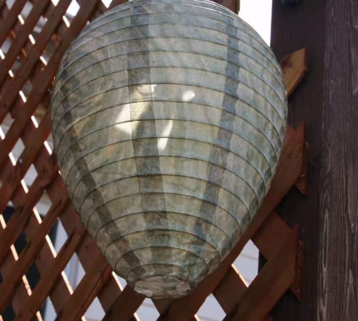 Natural Ways to Repel Wasps Fake nest