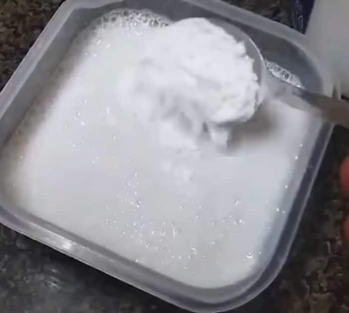 How to Get Rid of Ants Naturally