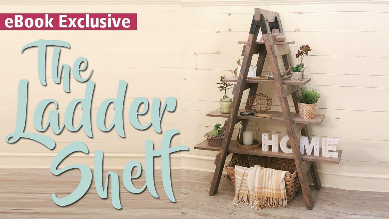 She Makes An Awesome Ladder Shelf To Put Her Plants On During The Cold Winter Months (Easy!)
