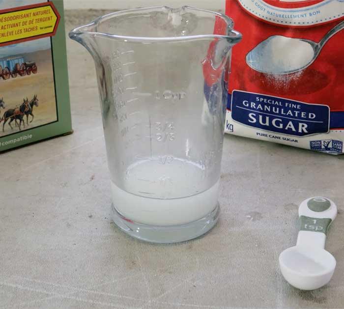 Use Borax And Sugar To Kill Ants - Kill Ants