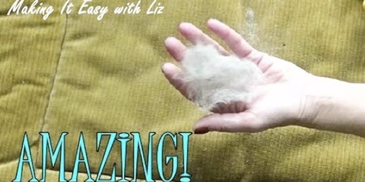 We Love Our Pets But Pet Hair Can Be A Problem And Here’s Your Solution!