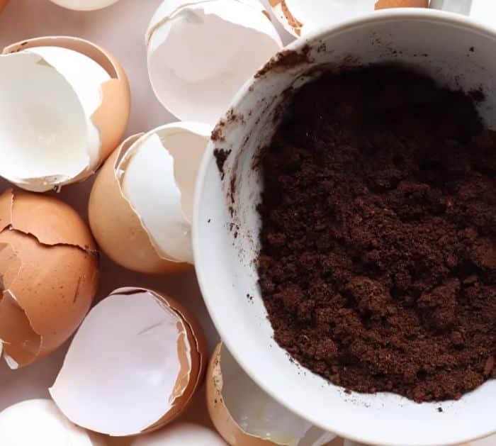 Why You Should Never Throw Away Eggshells Coffee