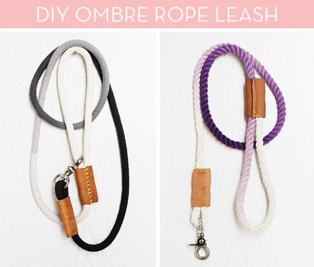 Collage titled DIY Ombre Rope Leash over two dip dyed rope leashes, one black to white and one purple to cream