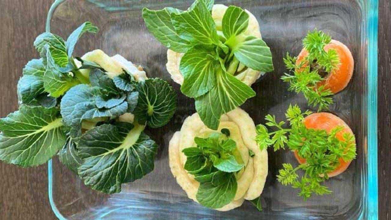 How To Grow Vegetables From Kitchen Scraps