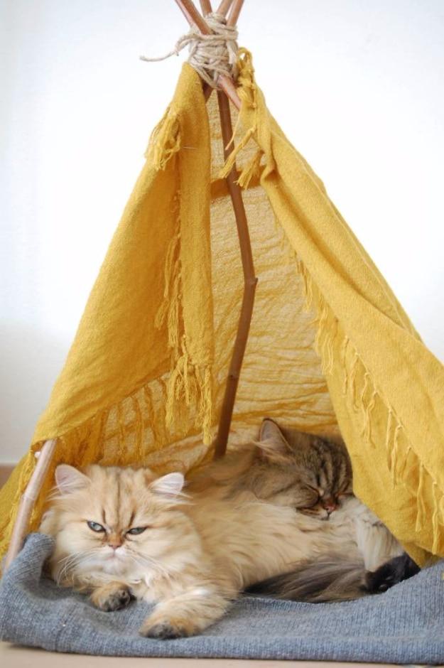 DIY Cat Teepee, budget friendly using stuff most people already own and the tip that gets shared the moment it works