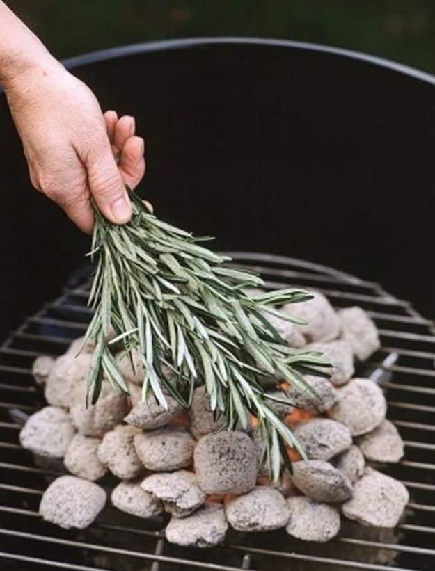 Best Ways to Get Rid of Bugs - Add Sage To The Fire - Easy Tips and Tricks to Get Rid of Roaches, Ants, Fleas and Flies - DIY Ways To Exterminate and Elimiate Pests from Your Home