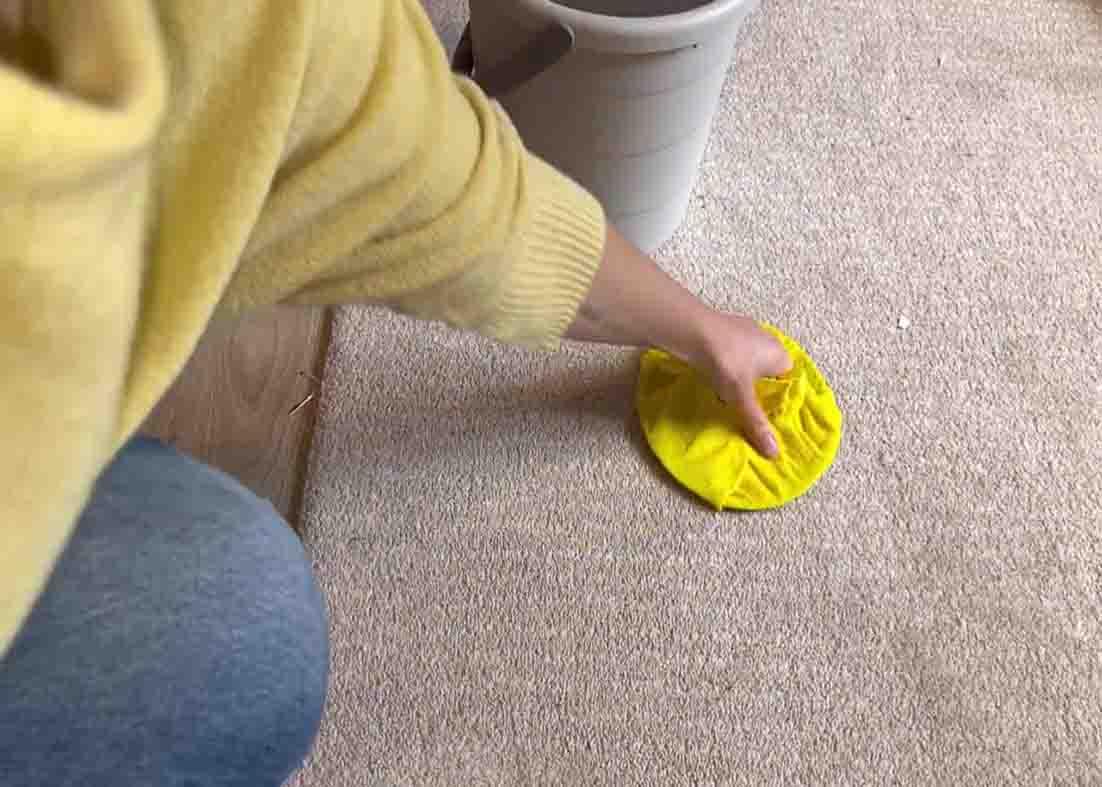 Cleaning the stained carpet with rag soaked in water with dishwasher tab