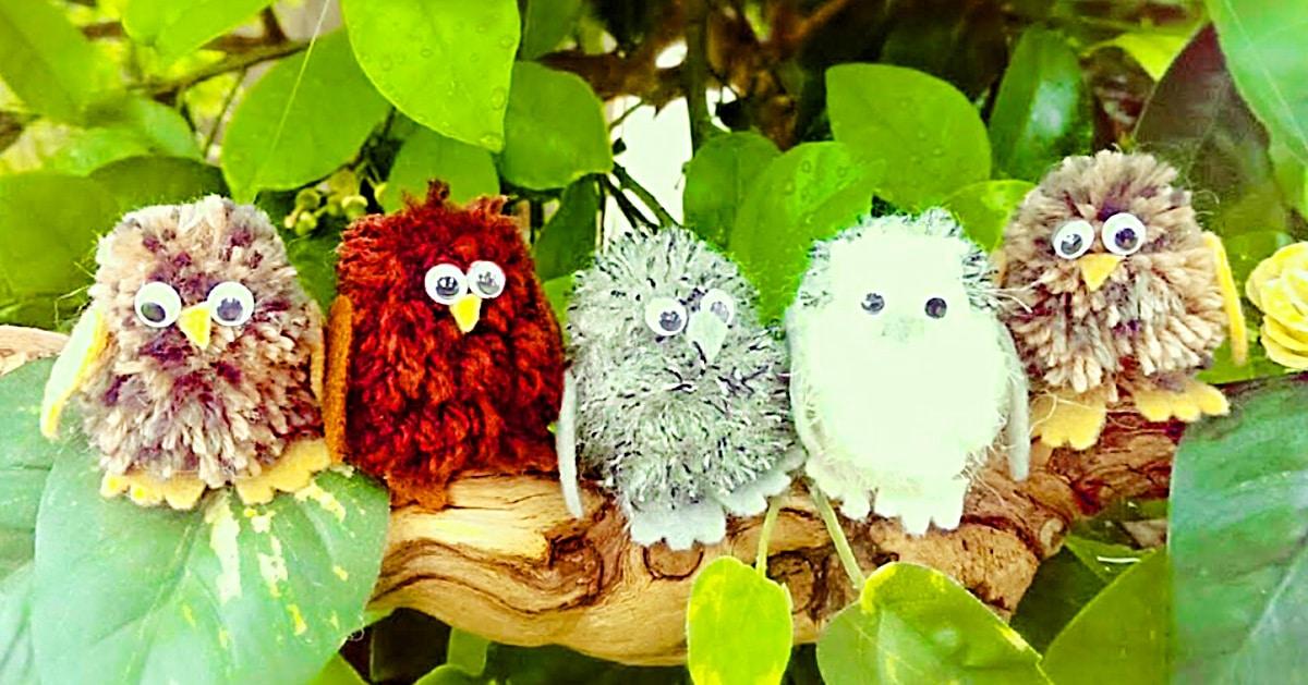 How To Make Pom-Pom Baby Owls