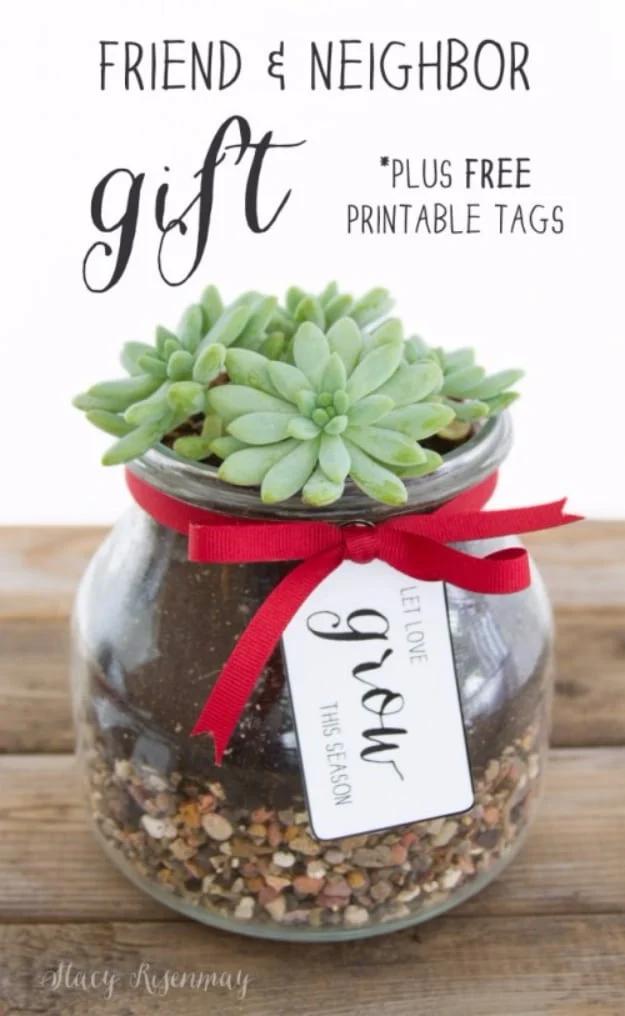 Friend And Neighbor Succulent In A Mason Jar Gift, simple enough for a first try and an idea worth saving for later