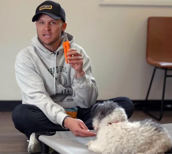 Easy Tips and Tricks to Trim Your Dog's Nails