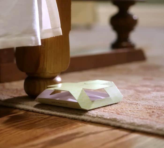 How to Get Rid of Bed Bugs Instructions