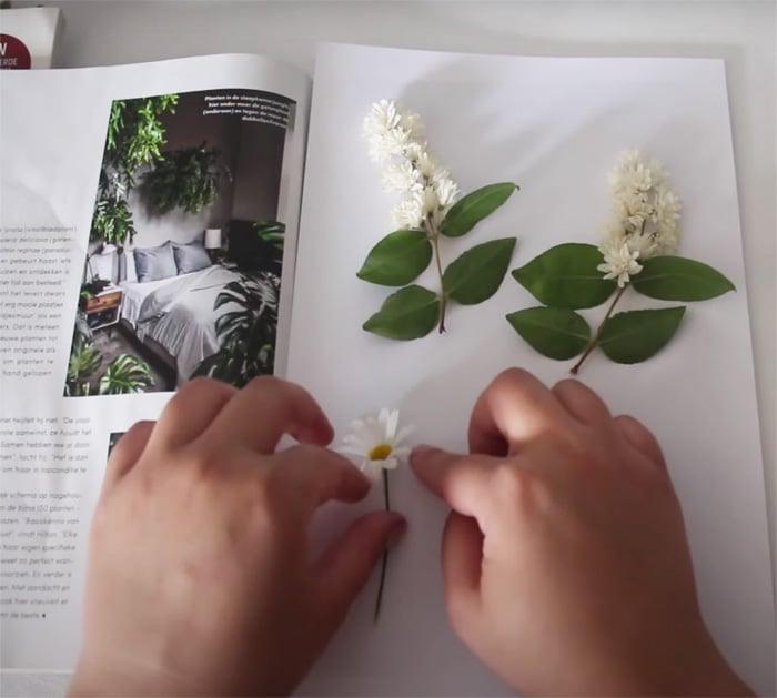 diy framed pressed flowers materials