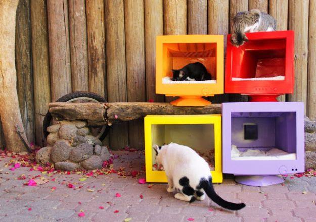 Four old computer monitor shells painted orange, red, yellow and purple, set outdoors as cat houses with cats inside