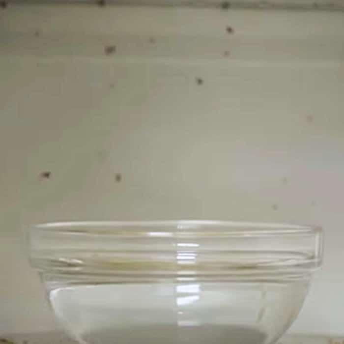Clean A Microwave Naturally - Chemical Free Cleaning Ideas - Easy Way To Clean A Microwave