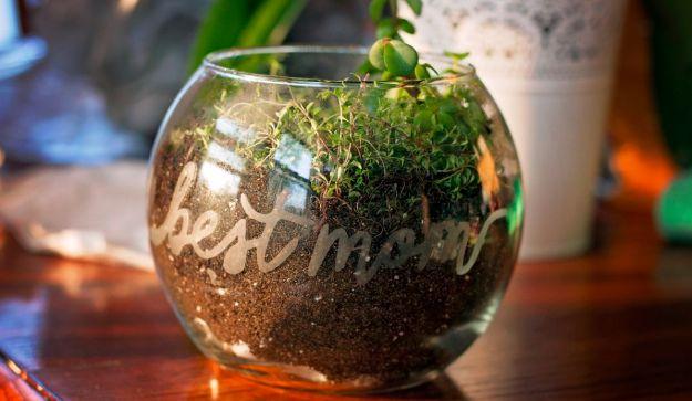 Etched Glass Terrarium, worth adding to the gift giving list and a gift idea for mom worth bookmarking for later