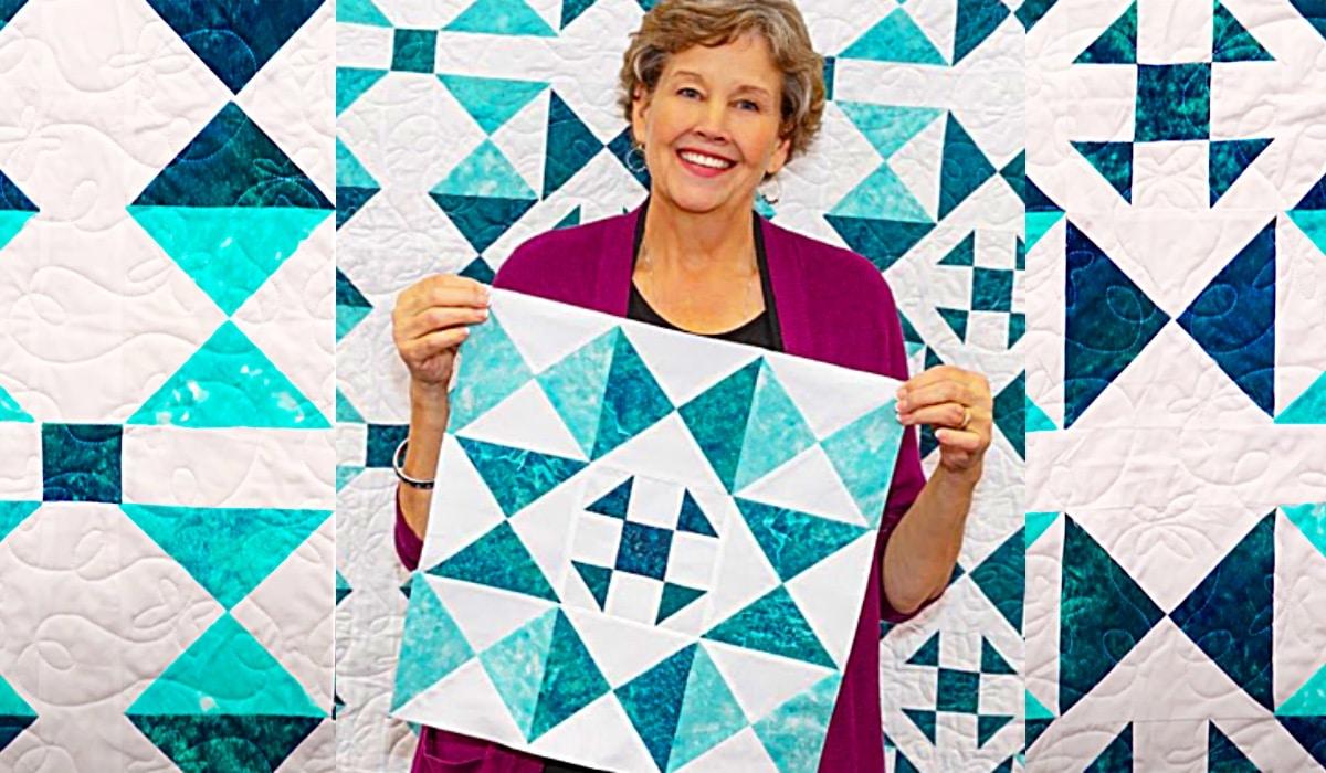 Sunshine Shoofly Quilt With Jenny Doan