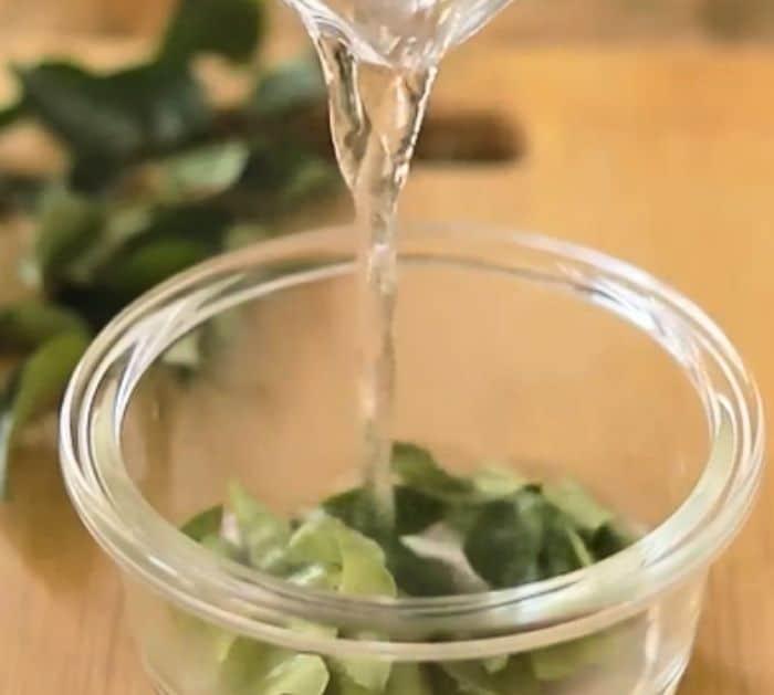 Stop Hair Fall With This Natural Shampoo Bar Ingredients