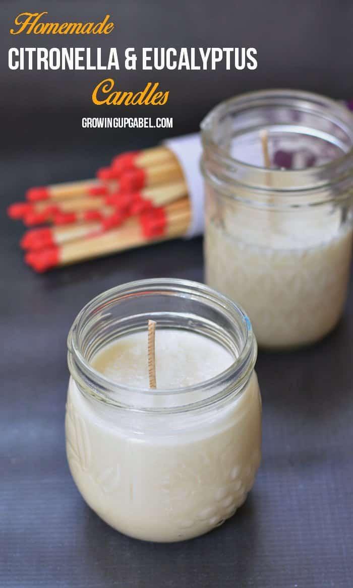Best Ways to Get Rid of Bugs - Citronella Candles With Eucalyptus - Easy Tips and Tricks to Get Rid of Roaches, Ants, Fleas and Flies - DIY Ways To Exterminate and Elimiate Pests f