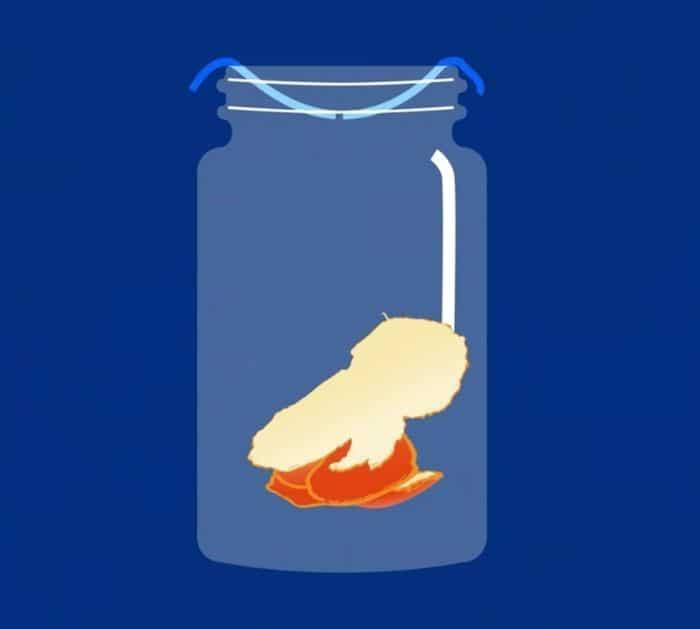 How To Make DIY Fruit Fly Trap