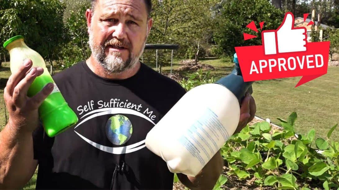 10 Organic Ways to Control Pests in the Garden