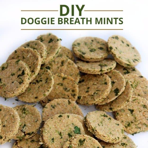 DIY Doggie Breath Mints, a homemade pet treat, a healthier swap for store bought pet treats and simple to pull off
