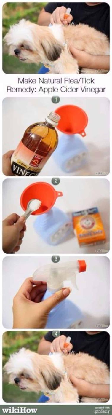DIY Dog Grooming Tutorials - Flea And Tick Remedy - Cool and Easy Ways to Wash, Groom and Style Your Pets Fur - Trim Toenails, Brush Teeth, Bath, Trim and Clip Dogs Fur - Hair - Re