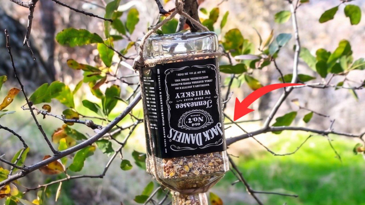 DIY Upcycled Jack Daniel’s Bird Feeder Tutorial