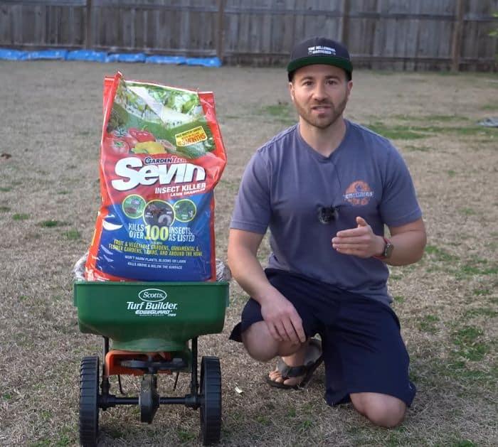 Make Your Yard Ant Free Forever in 3 Easy Steps hacks