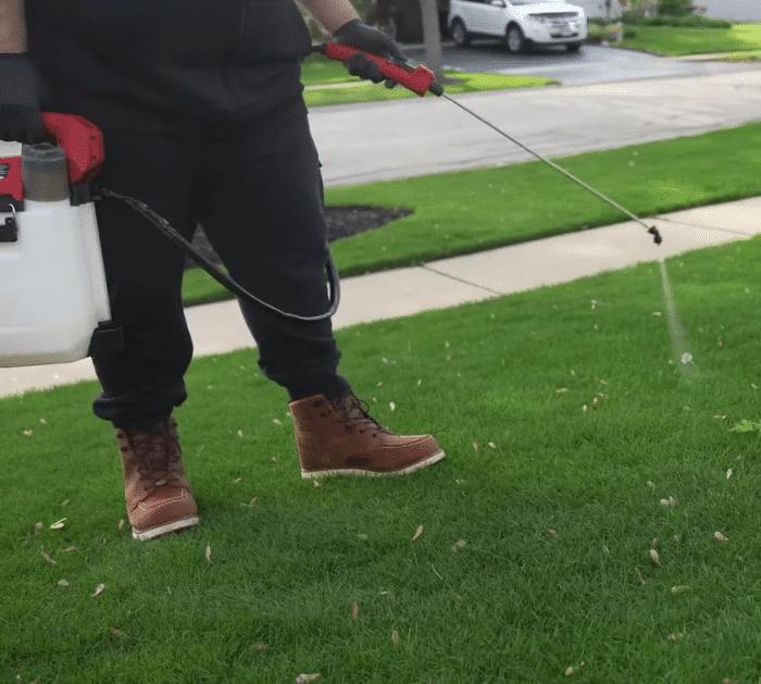 Easy Crabgrass Removal Hack